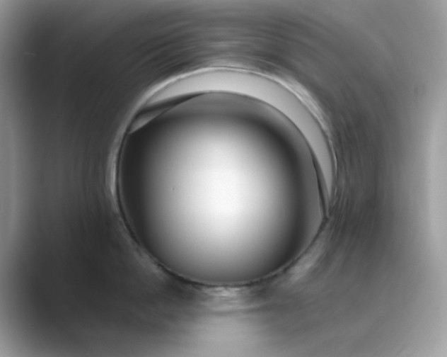 X0000089740862200707051756