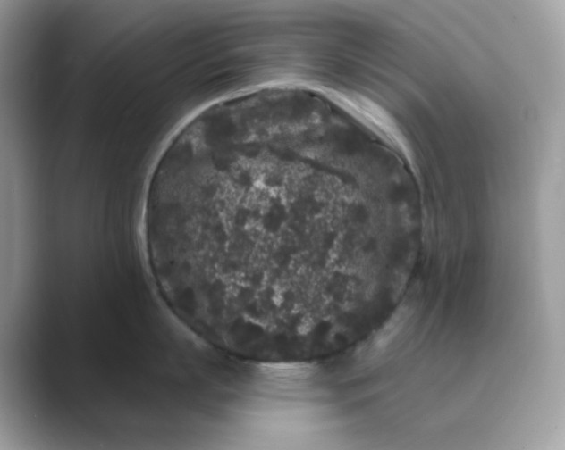 X0000089740863200707051756