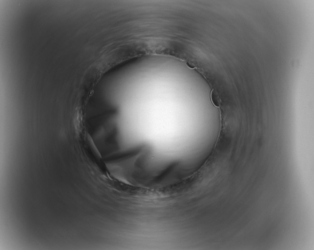 X0000089740866200707051755