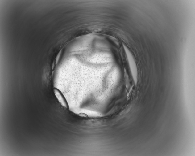 X0000089740867200707051755