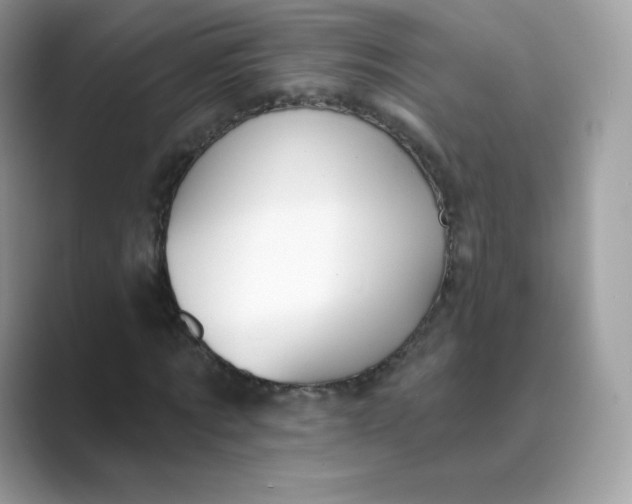 X0000089740869200707051755