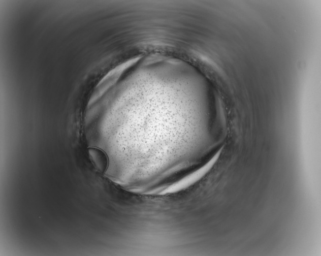 X0000089740870200707051755