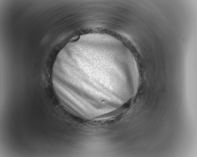 X0000089740871200707051755