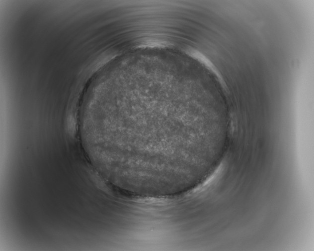 X0000089740874200707051755