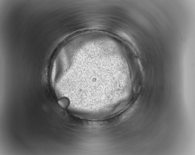 X0000089740875200707051755