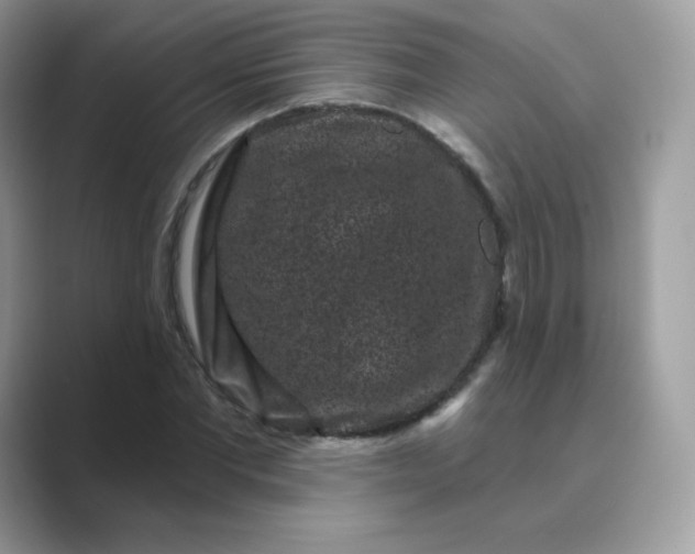 X0000089740877200707051755