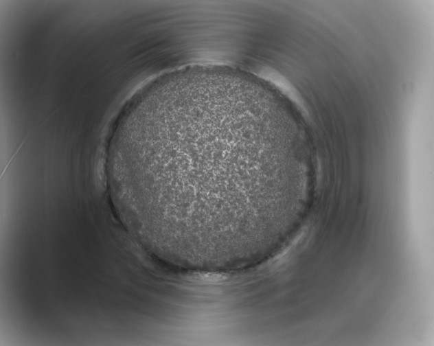 X0000089740878200707051755