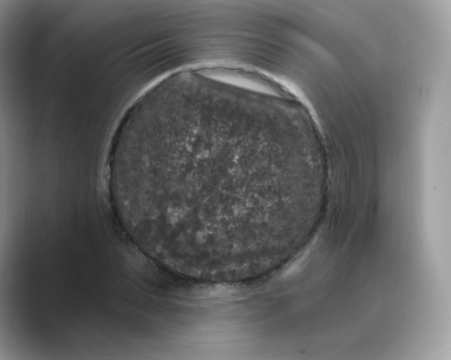 X0000089740879200707051755