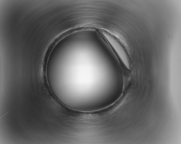 X0000089740880200707051755