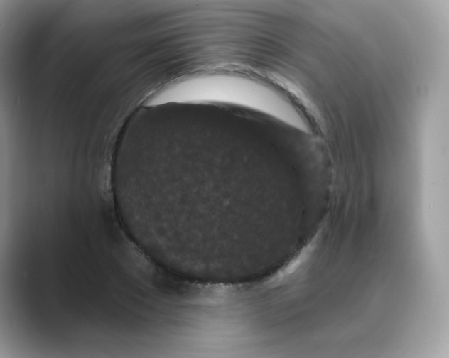 X0000089740881200707051755