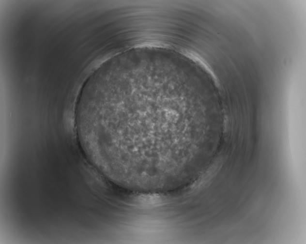 X0000089740882200707051755