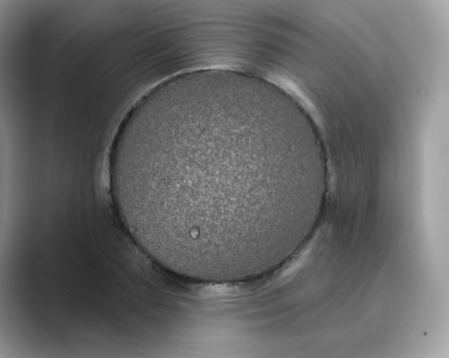 X0000089740883200707051755