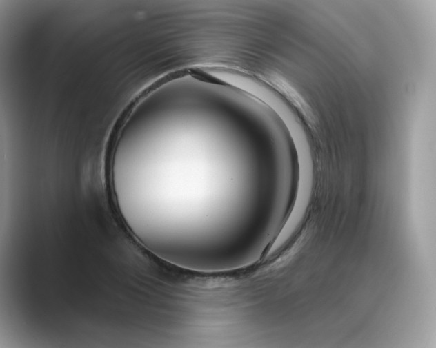 X0000089740884200707051755