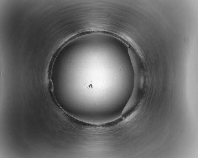 X0000089740885200707051755