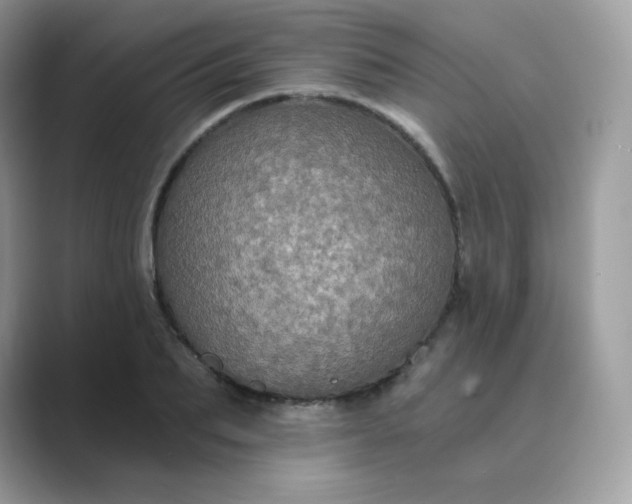 X0000089740887200707051755