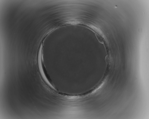 X0000089740889200707051755