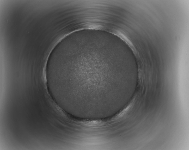 X0000089740891200707051755