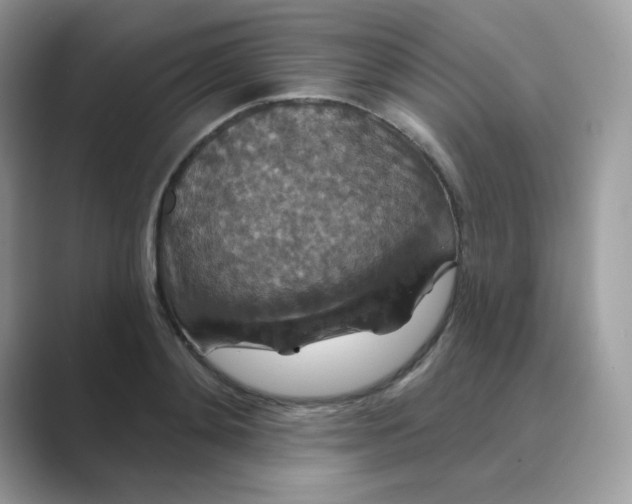 X0000089740892200707051755