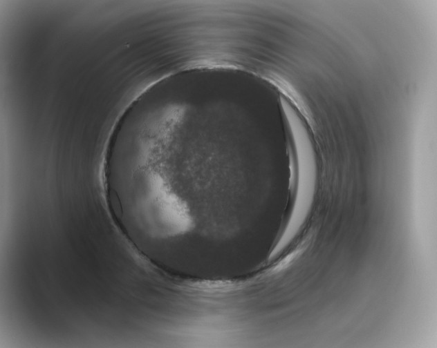 X0000089740893200707051755