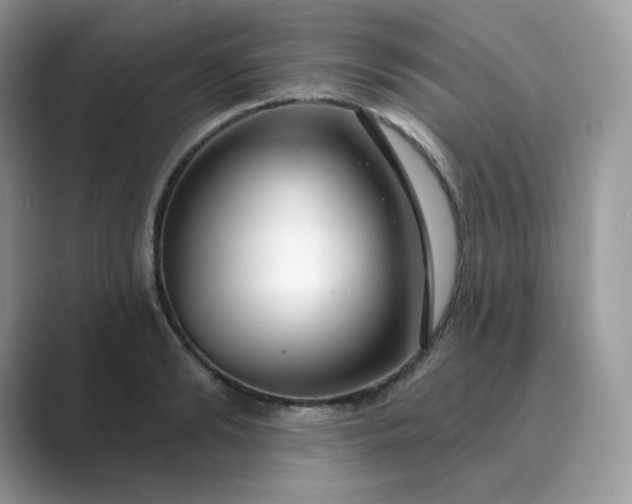 X0000089740894200707051755