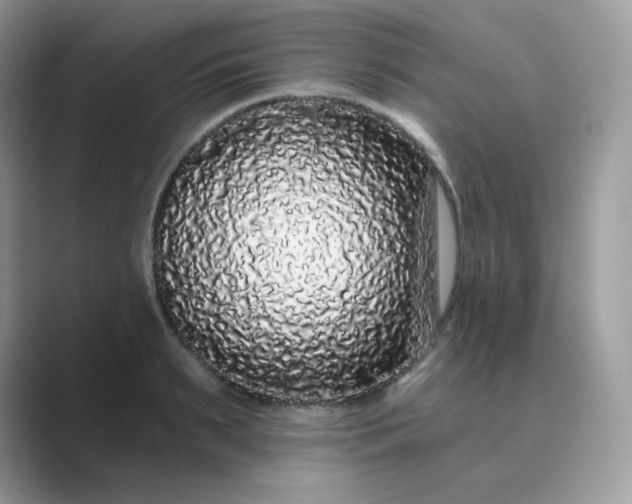 X0000089740895200707051755