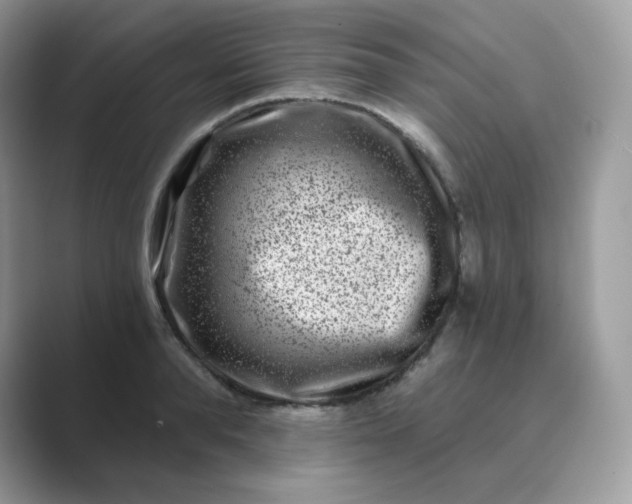 X0000089740896200707051755