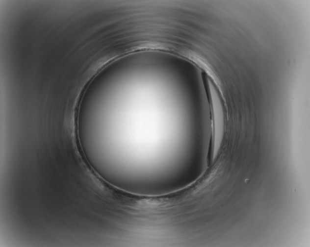 X0000089740898200707051755