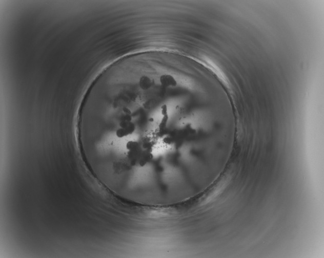 X0000089740899200707051755