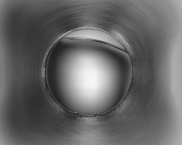 X0000089740900200707051755