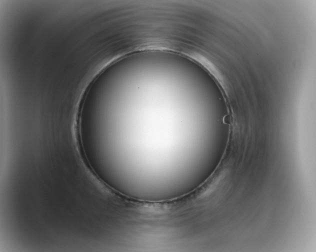 X0000089740901200707051755