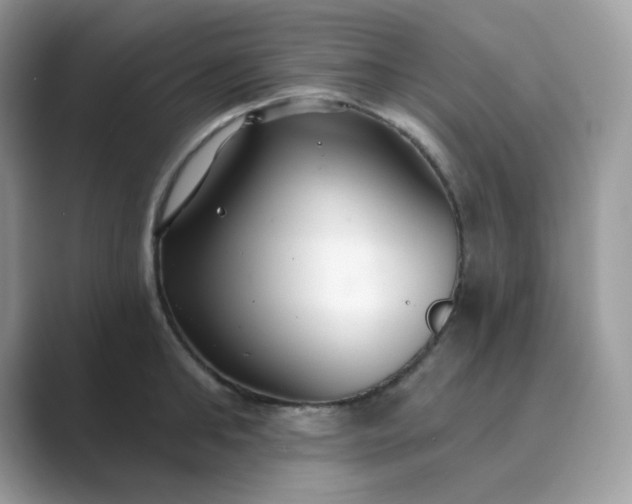 X0000089740902200707051755