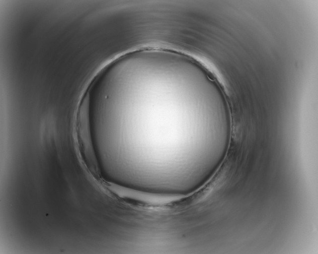 X0000089740903200707051755