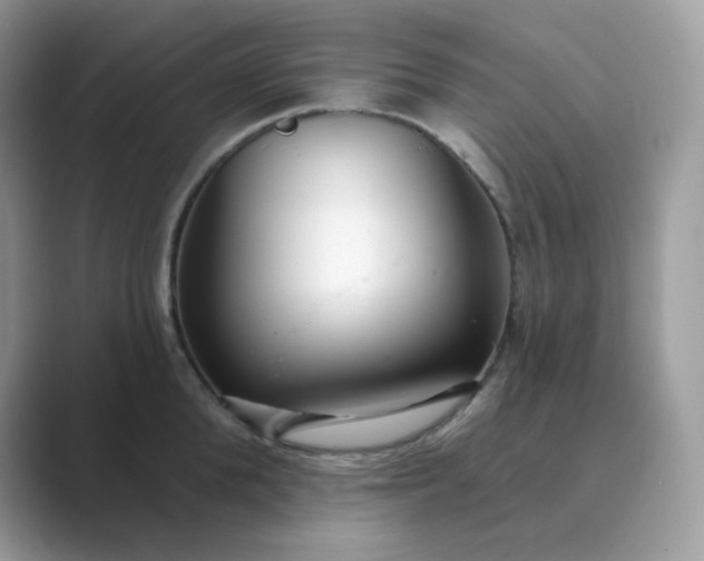 X0000089740904200707051755