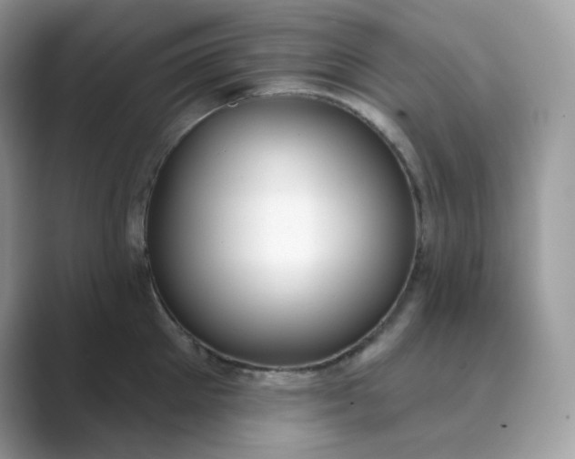 X0000089740905200707051755