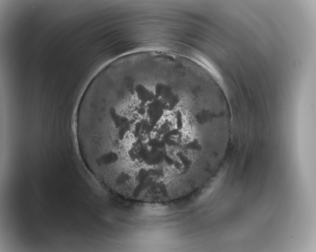 X0000089740907200707051755