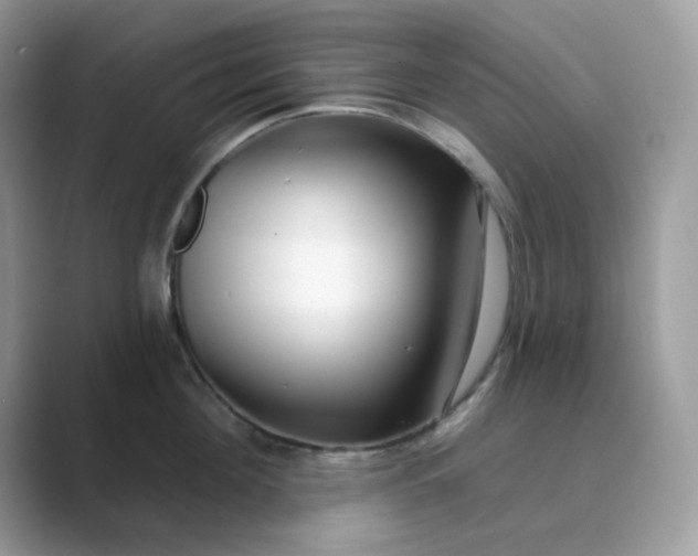 X0000089740908200707051755