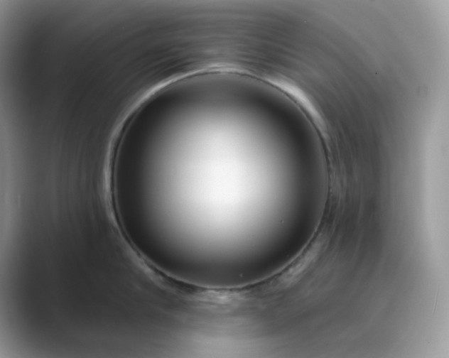 X0000089740910200707051755