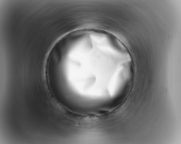 X0000089740912200707051754