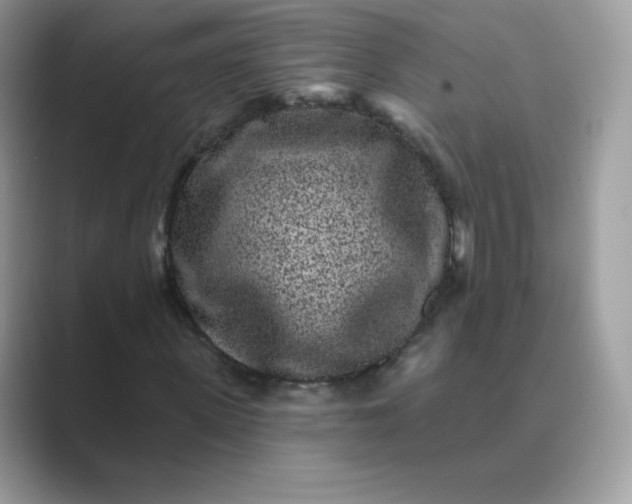 X0000089740915200707051754