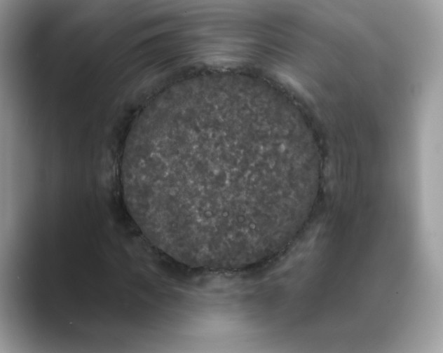 X0000089740917200707051754