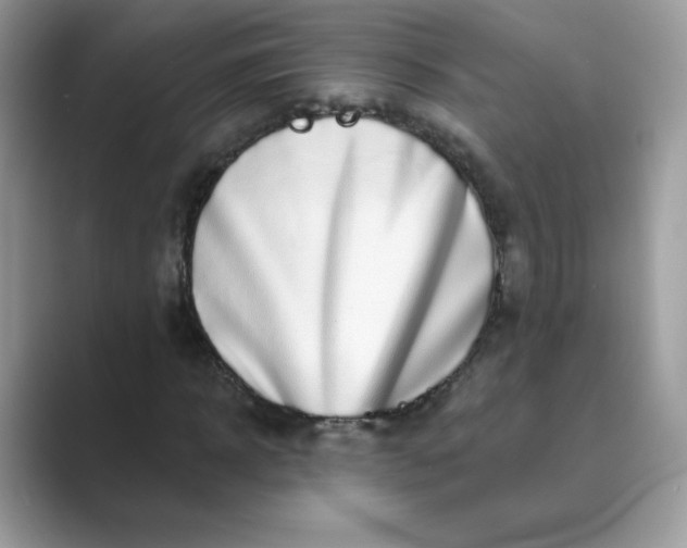 X0000089740918200707051754