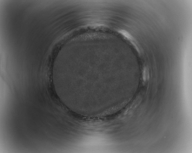 X0000089740919200707051754