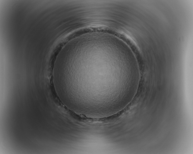 X0000089740920200707051754