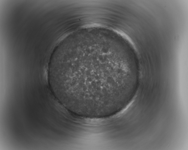 X0000089740921200707051754