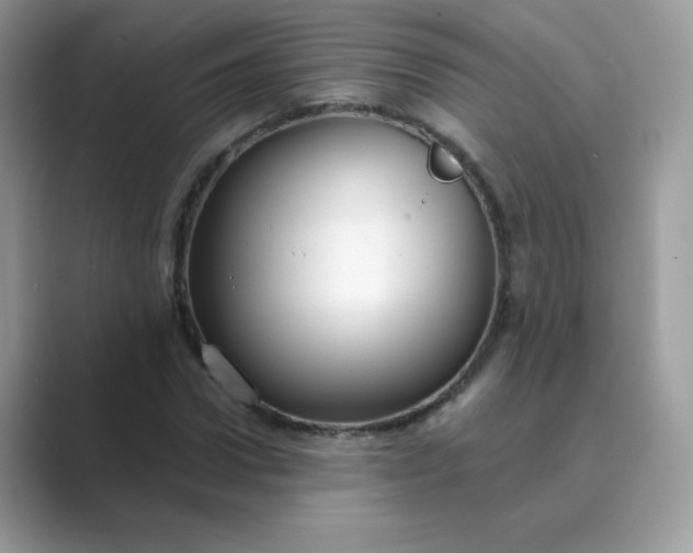 X0000089740922200707051754