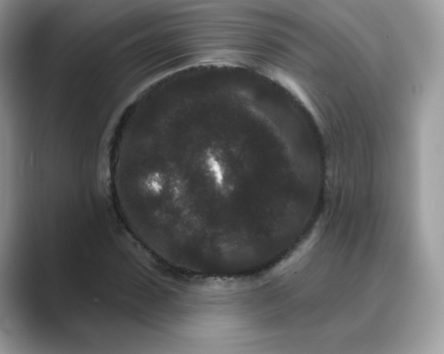 X0000089740923200707051754