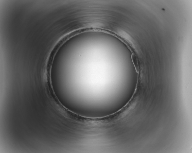 X0000089740924200707051754