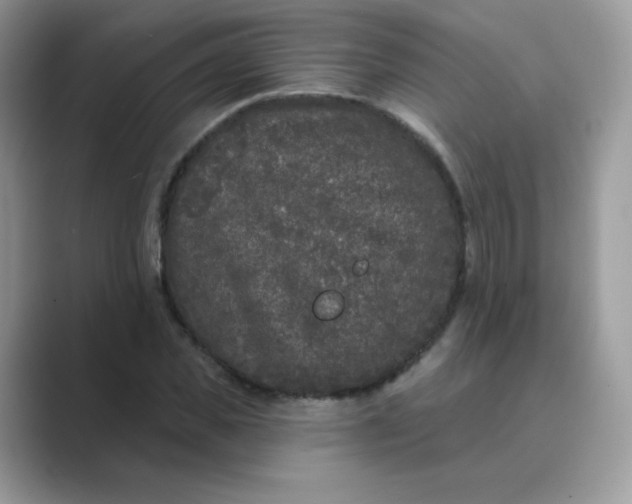 X0000089740925200707051754