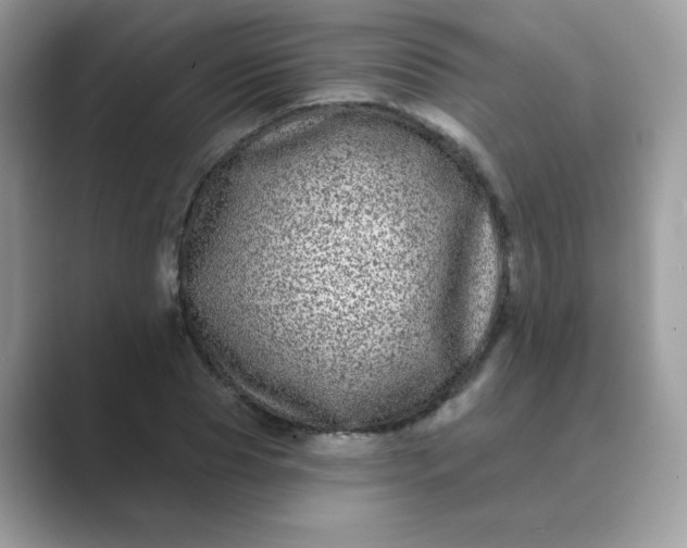 X0000089740929200707051754