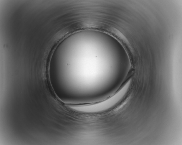 X0000089740930200707051754